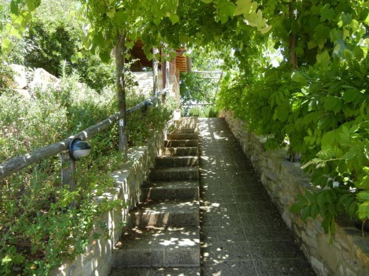 Gasthaus Fattoria Casa Sola Barberino di Val dʼElsa Exterior foto