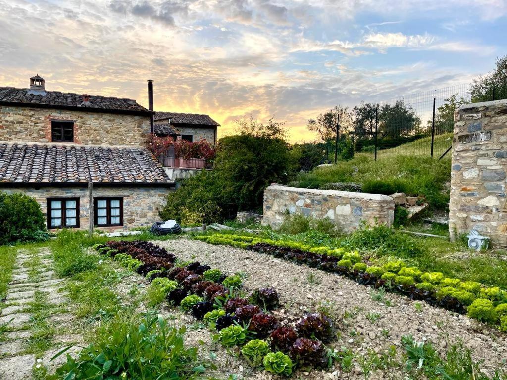 Gasthaus Fattoria Casa Sola Barberino di Val dʼElsa Exterior foto