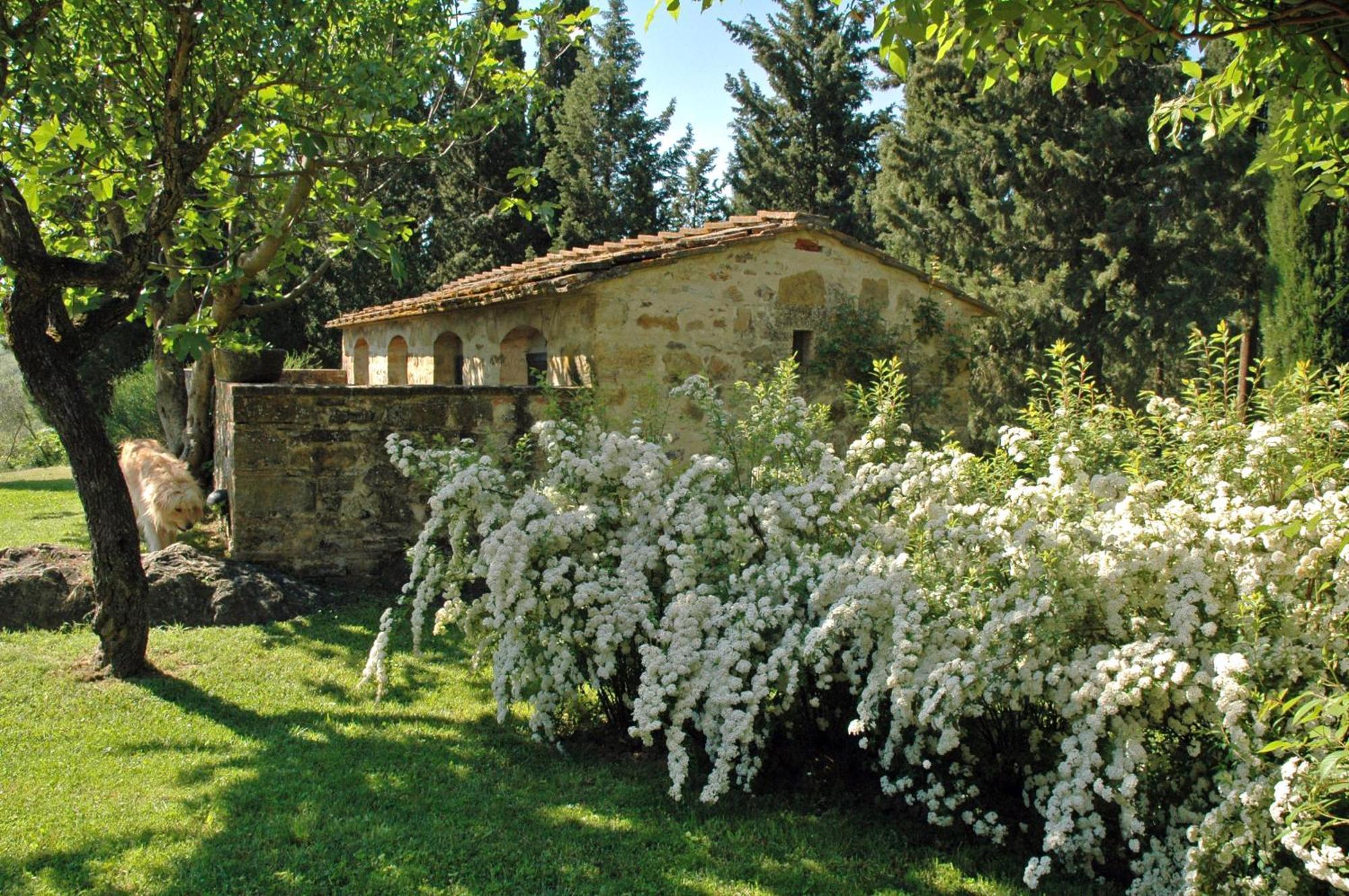 Gasthaus Fattoria Casa Sola Barberino di Val dʼElsa Zimmer foto