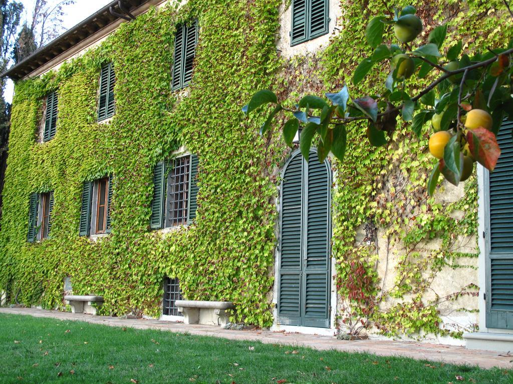 Gasthaus Fattoria Casa Sola Barberino di Val dʼElsa Exterior foto